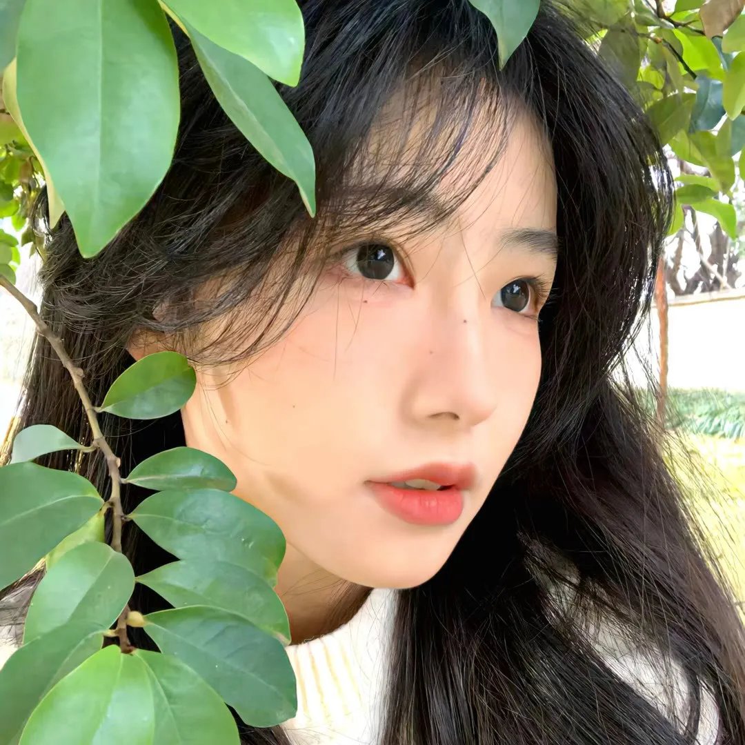 真情给你